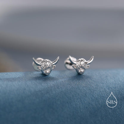 Highland Cow Internally Threaded Flat Back/ Screw Back / Stud Earrings in Sterling Silver, Silver or Gold or Rose Gold,  Nature Inspired