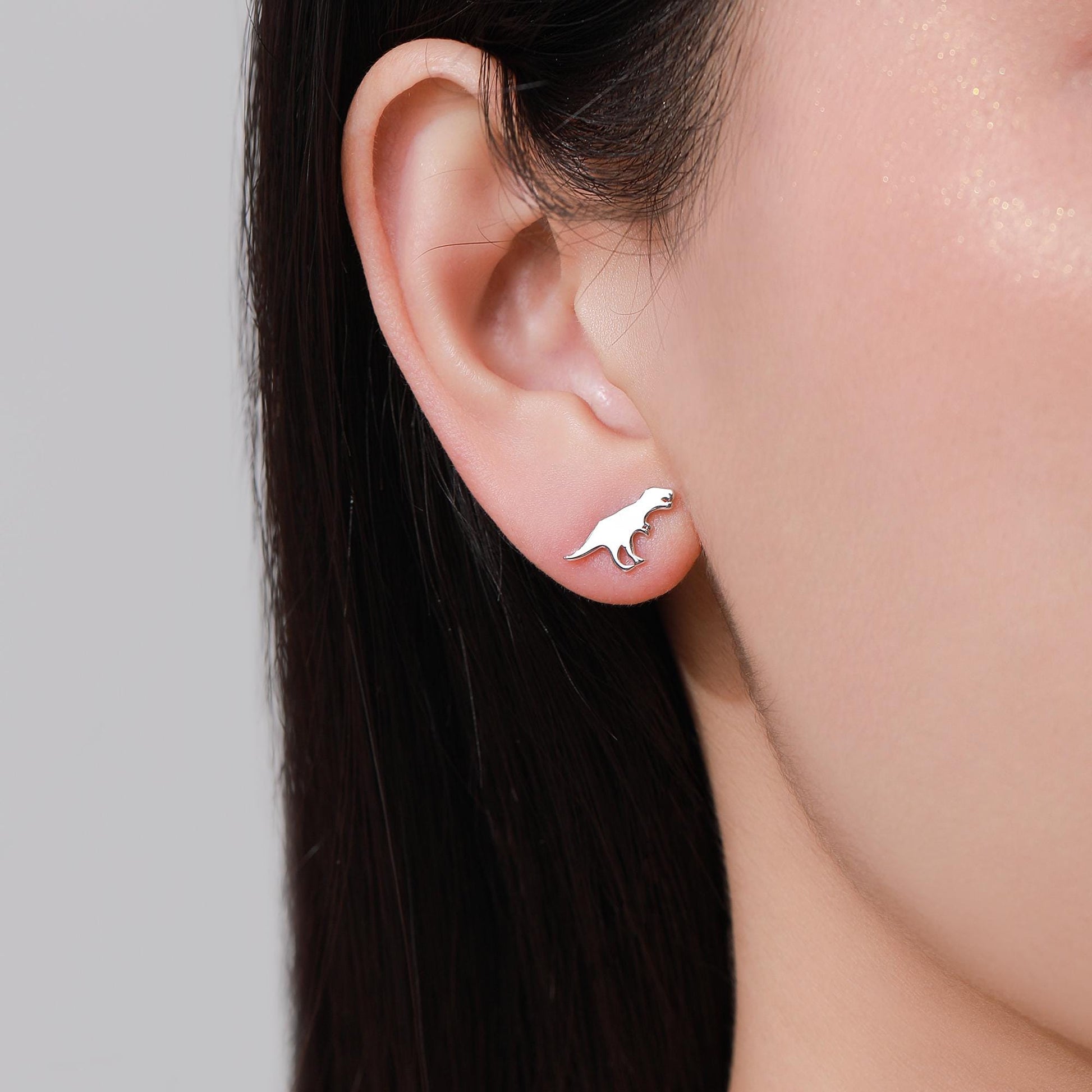 Mismatched T-Rex Tyrannosaurus and Triceratops Dinosaur Stud Earrings in Sterling Silver, Asymmetric Triceratops and T Rex