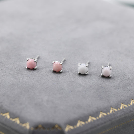 Mother of Pearl from the Queen Conch Shell Stud Earrings in Sterling Silver, 4mm, Genuine mother of pearl Stud, 4 Prongs,