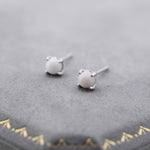 Mother of Pearl from the Queen Conch Shell Stud Earrings in Sterling Silver, 4mm, Genuine mother of pearl Stud, 4 Prongs,
