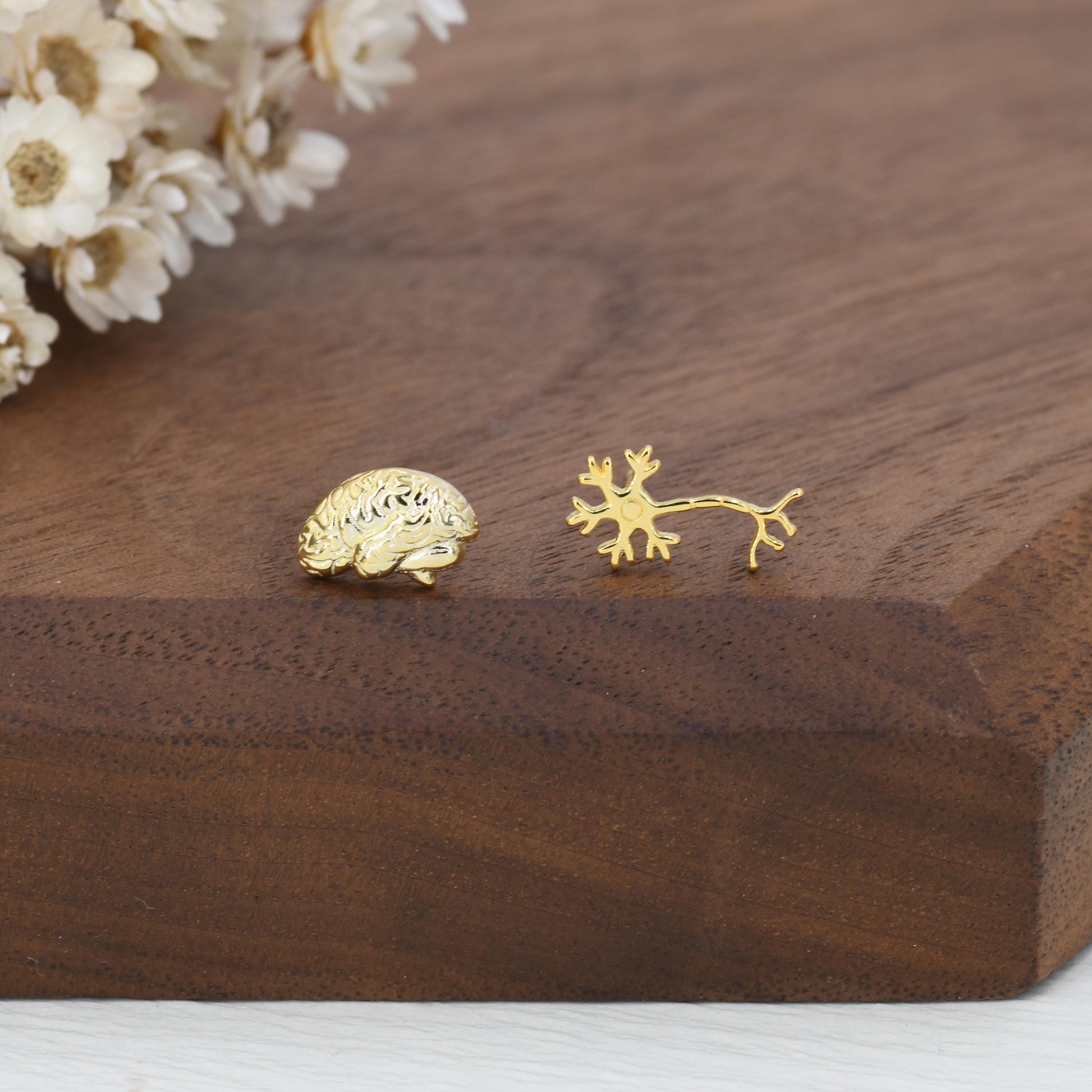 Mismatched Anatomical Brain and Neurone Stud Earrings in Sterling Silver, Silver or Gold, Asymmetric Science Earrings, Biology Jewellery