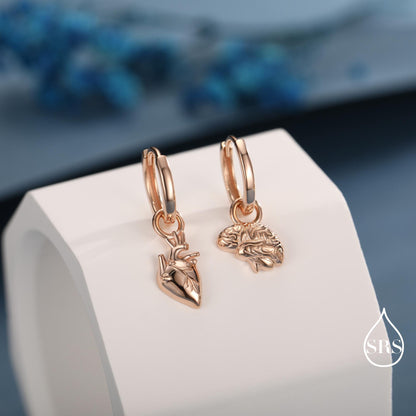 Anatomical Brain and Heart Asymmetric Huggie Hoop Earrings in Sterling Silver, Silver, Gold or Rose Gold, Science Jewellery, Heart and Mind