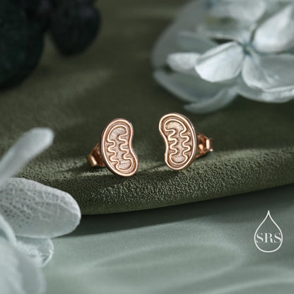 Sterling Silver Mitochondria Stud Earrings, Available in Silver, Gold or Rose Gold Finish, Cute Fun Quirky, Gift for Her, Science Insipred