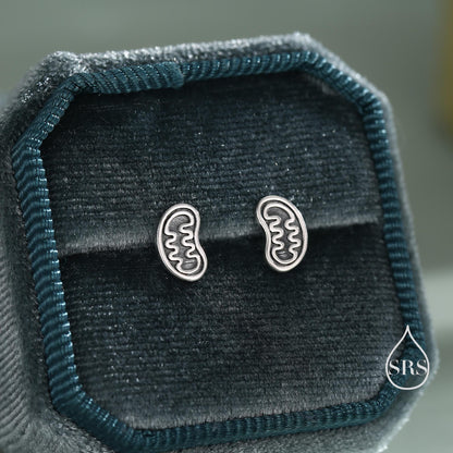 Sterling Silver Mitochondria Stud Earrings, Available in Silver, Gold or Rose Gold Finish, Cute Fun Quirky, Gift for Her, Science Insipred