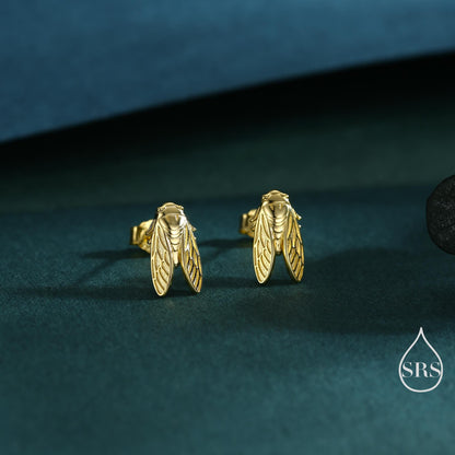 Sterling Silver Cicada Stud Earrings, Silver or Gold or Rose Gold, Cicada Insect Earrings in Sterling Silver, Animal Earrings, Fly Earrings