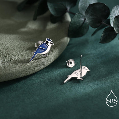 Blue Jay Sterling Silver Stud Earrings, Enamel Coated Blue Jay Bird Earrings, Nature Inspired Animal Earrings