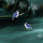 Blue Jay Sterling Silver Stud Earrings, Enamel Coated Blue Jay Bird Earrings, Nature Inspired Animal Earrings