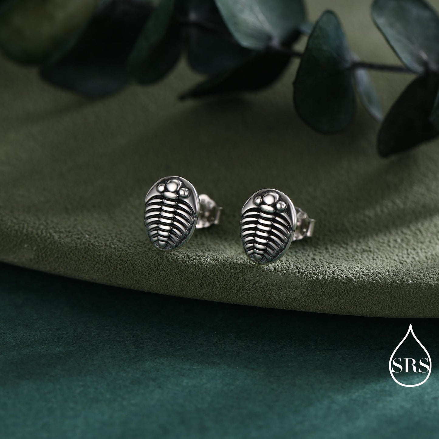 Trilobite Sterling Silver Stud Earrings, Oxidised Trilobite Fossil Stud Earrings, Trilobite Earrings