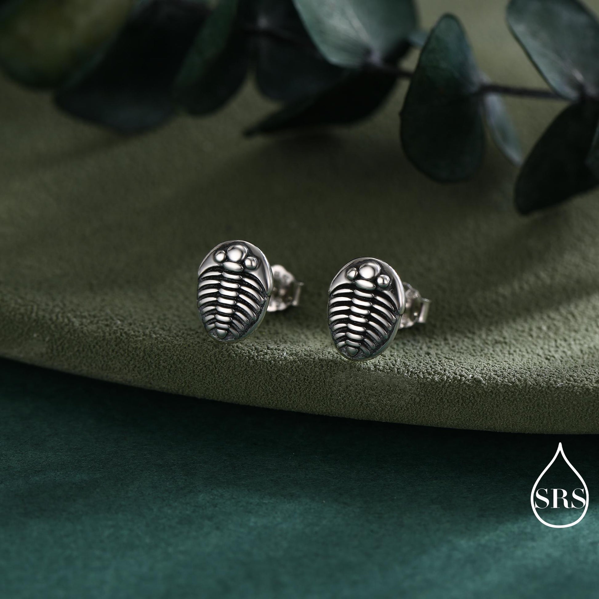 Trilobite Sterling Silver Stud Earrings, Oxidised Trilobite Fossil Stud Earrings, Trilobite Earrings