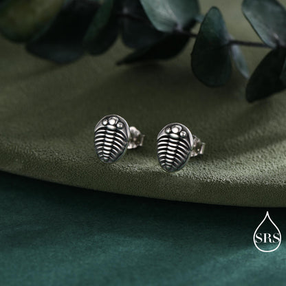 Trilobite Sterling Silver Stud Earrings, Oxidised Trilobite Fossil Stud Earrings, Trilobite Earrings
