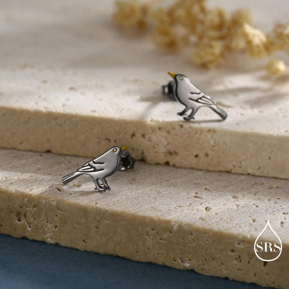 Little Black Bird Stud Earrings in Sterling Silver with Yellow Beak - Black Rhodium Coated Sterling Silver, Animal Stud Earrings
