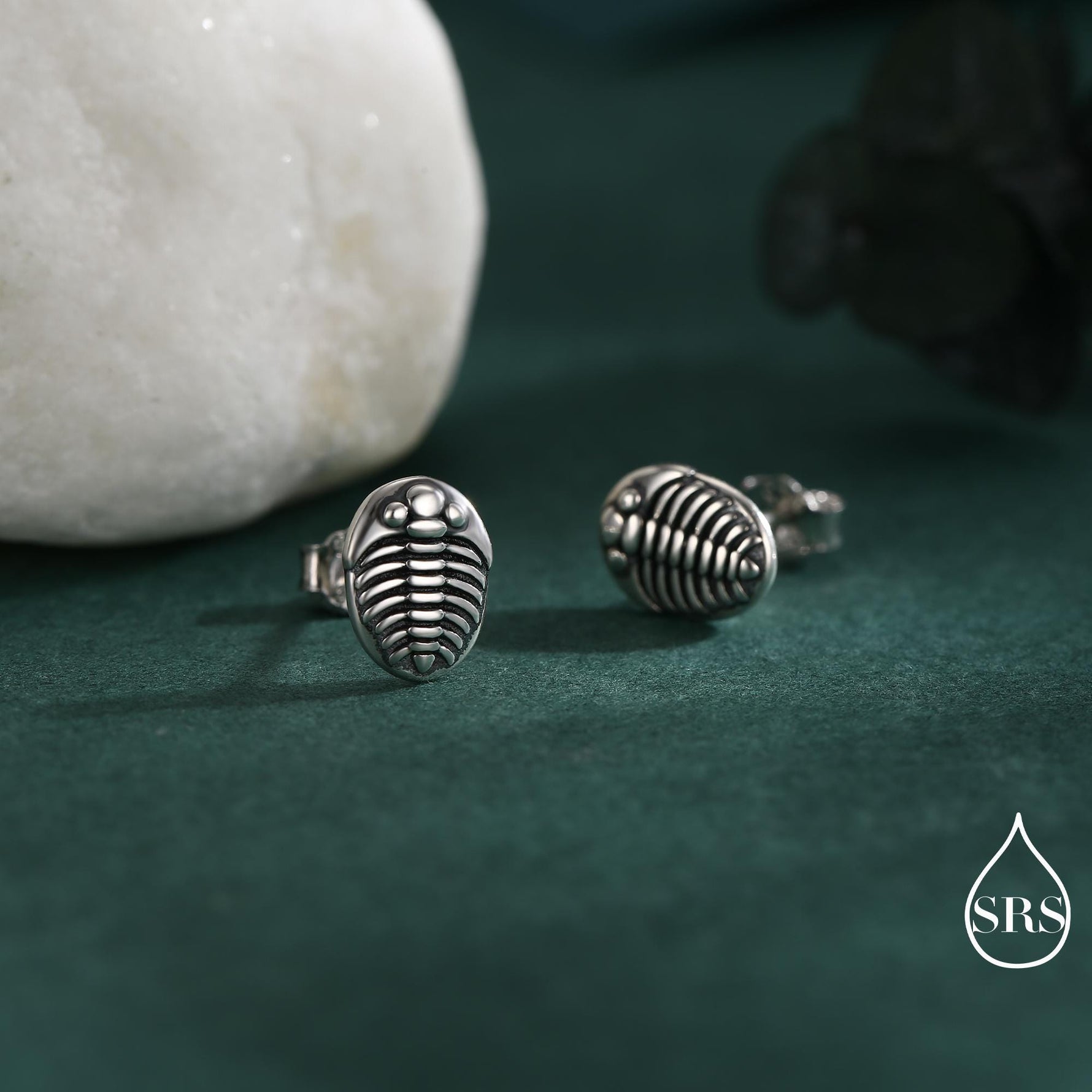 Trilobite Sterling Silver Stud Earrings, Oxidised Trilobite Fossil Stud Earrings, Trilobite Earrings