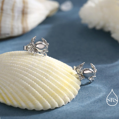 Crab Stud Earrings in Sterling Silver- 3D Crab - Seaside Memories - Sea Earrings - Ocean - Cute, Fun, Whimsical and Pretty Jewellery