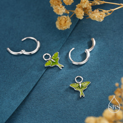 Lunar Moth Enamel Huggie Hoop Earrings in Sterling Silver, Green Enamel Butterfly Earrings, Insect Earrings, Nature-Inspired Animal Earrings