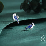 Blue Jay Sterling Silver Stud Earrings, Enamel Coated Blue Jay Bird Earrings, Nature Inspired Animal Earrings