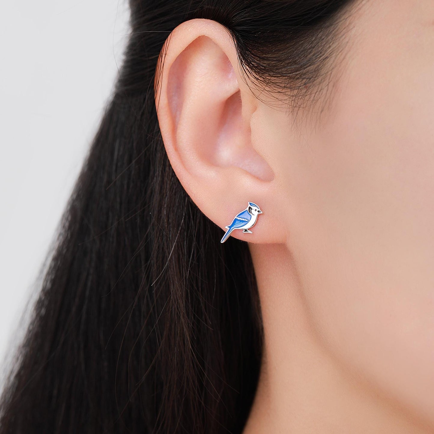 Blue Jay Sterling Silver Stud Earrings, Enamel Coated Blue Jay Bird Earrings, Nature Inspired Animal Earrings