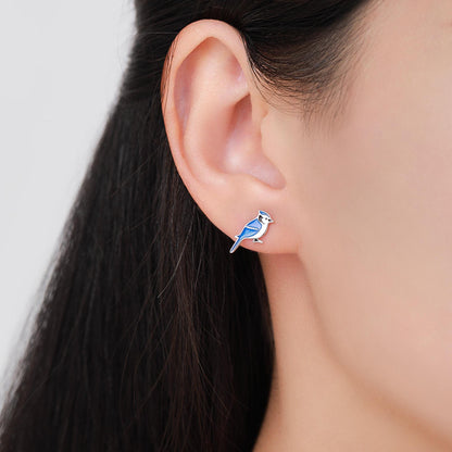 Blue Jay Sterling Silver Stud Earrings, Enamel Coated Blue Jay Bird Earrings, Nature Inspired Animal Earrings