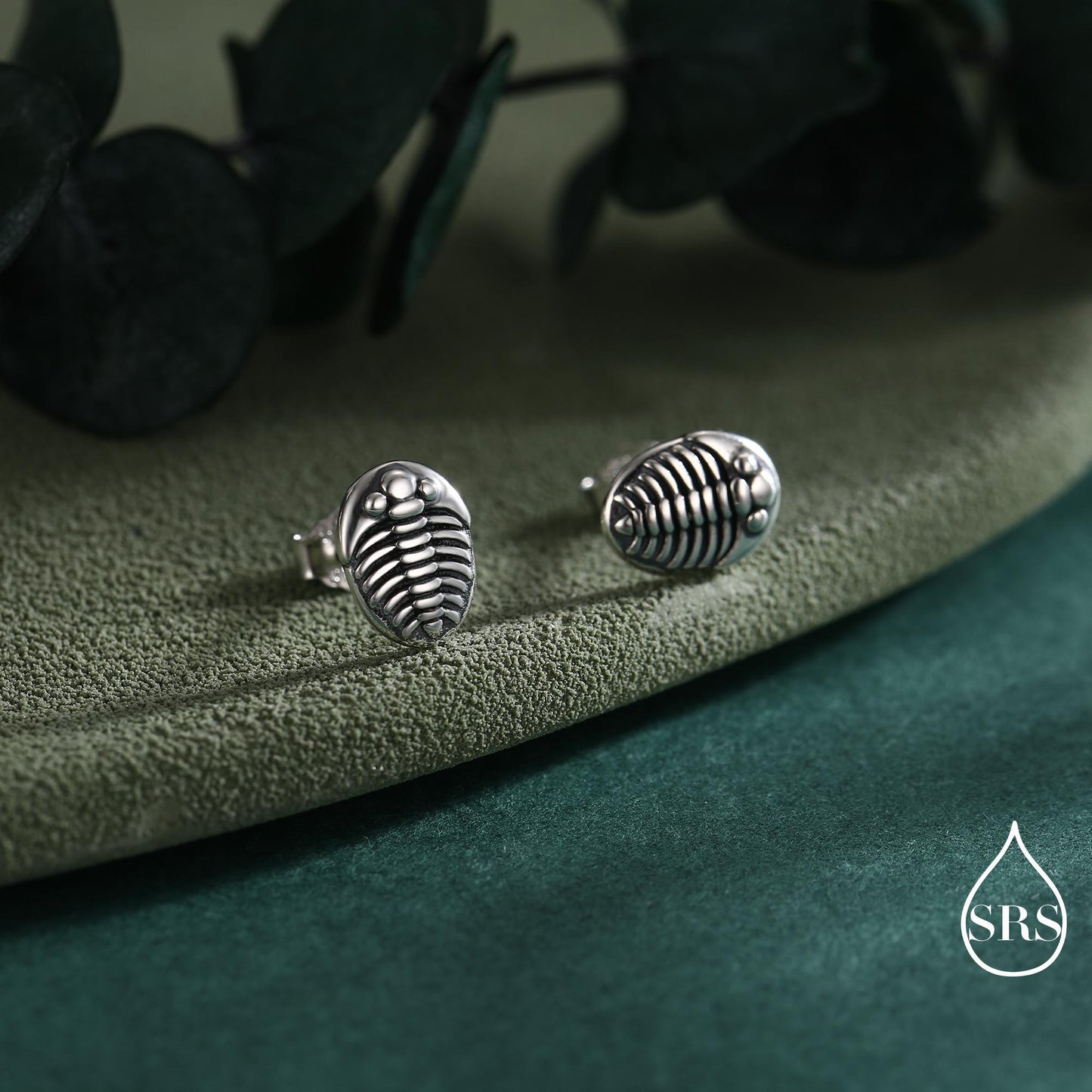 Trilobite Sterling Silver Stud Earrings, Oxidised Trilobite Fossil Stud Earrings, Trilobite Earrings