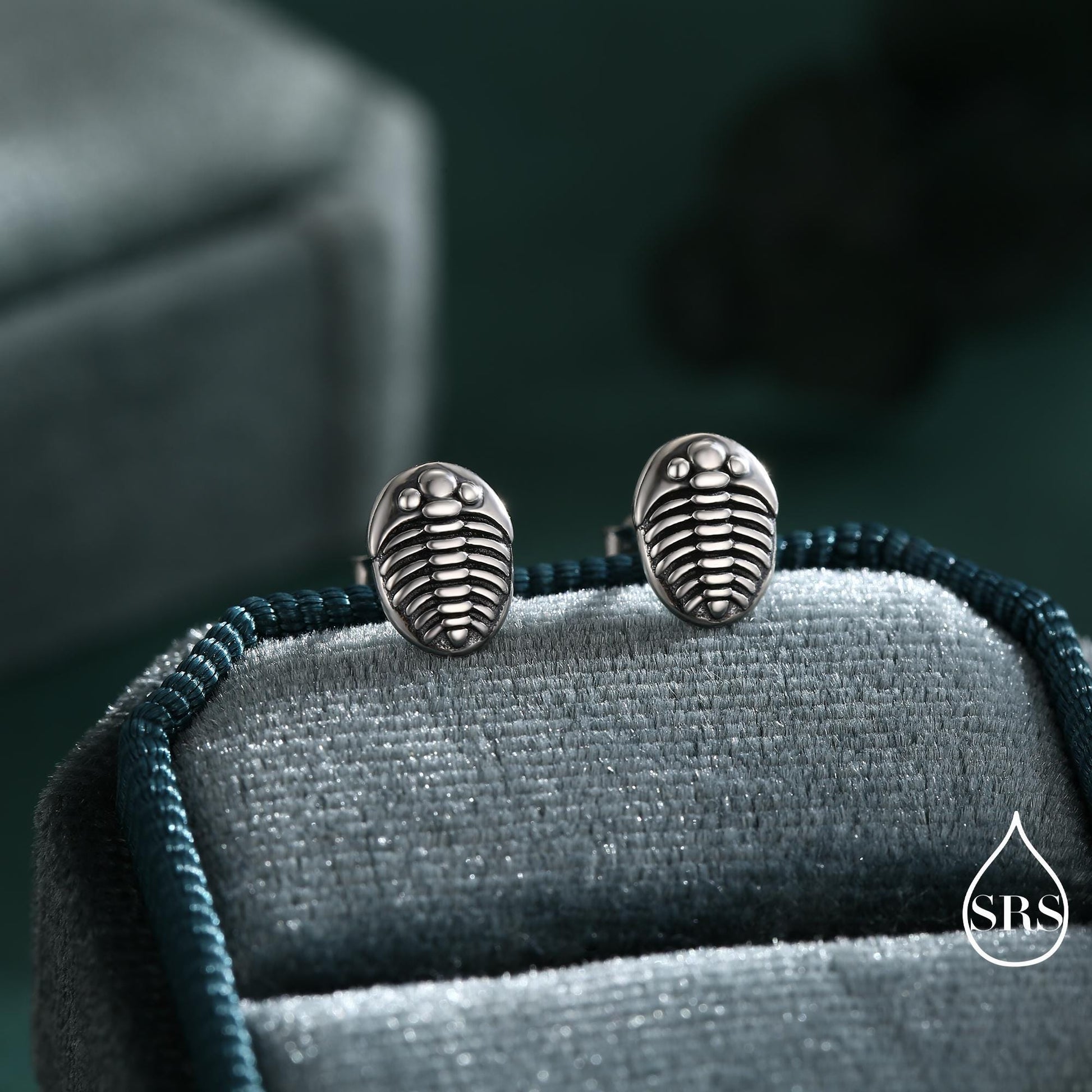 Trilobite Sterling Silver Stud Earrings, Oxidised Trilobite Fossil Stud Earrings, Trilobite Earrings