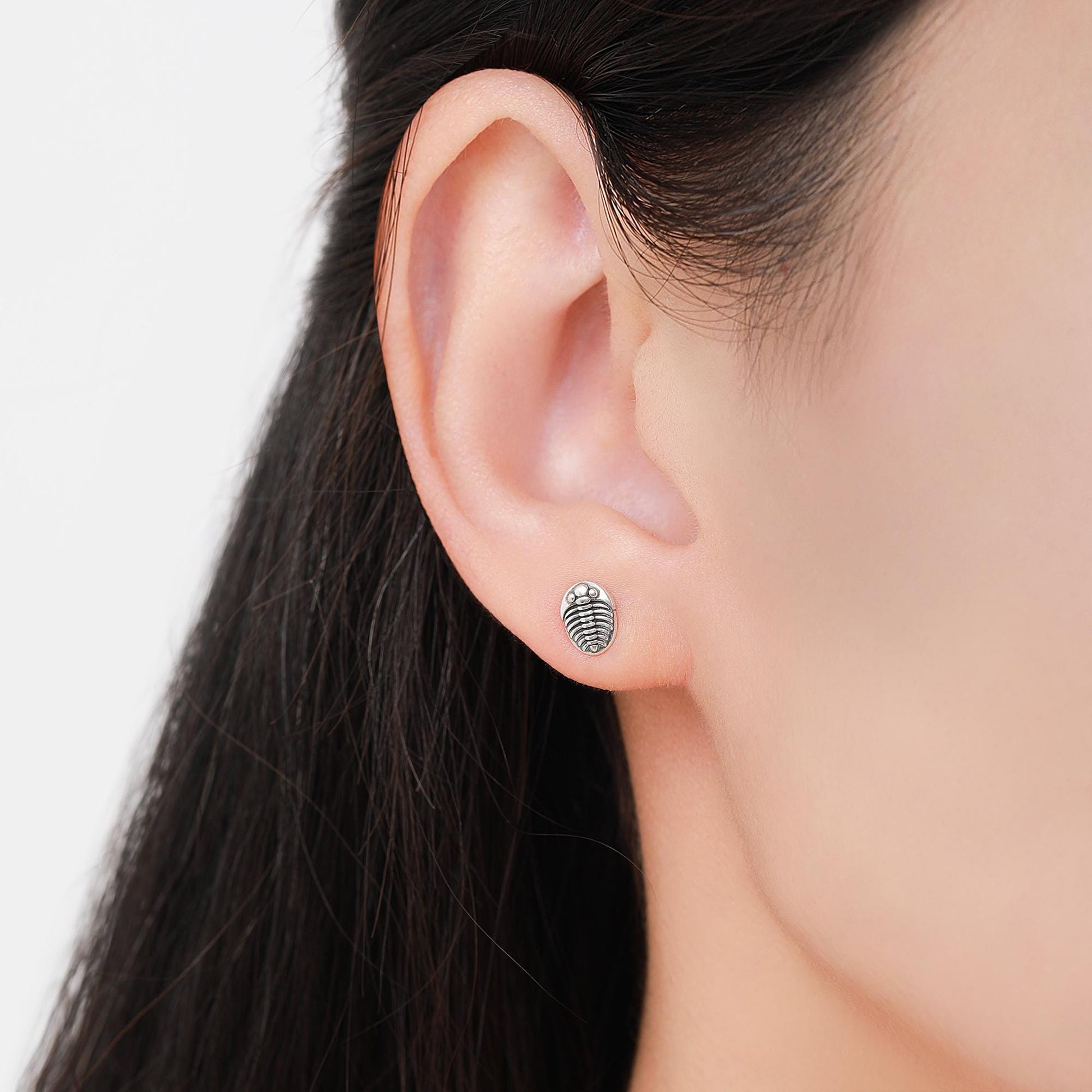 Trilobite Sterling Silver Stud Earrings, Oxidised Trilobite Fossil Stud Earrings, Trilobite Earrings