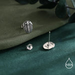 Trilobite Sterling Silver Stud Earrings, Oxidised Trilobite Fossil Stud Earrings, Trilobite Earrings