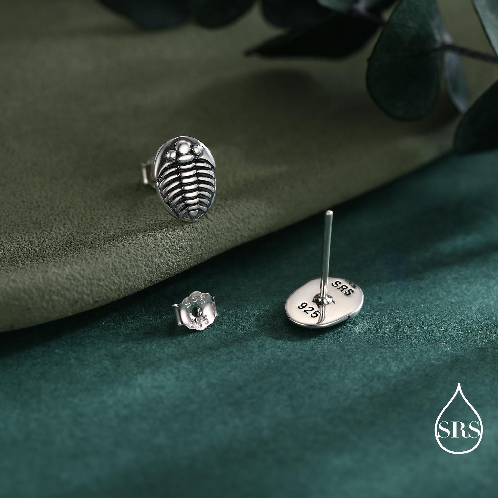 Trilobite Sterling Silver Stud Earrings, Oxidised Trilobite Fossil Stud Earrings, Trilobite Earrings