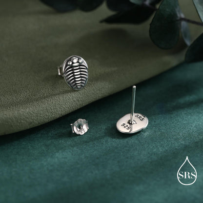 Trilobite Sterling Silver Stud Earrings, Oxidised Trilobite Fossil Stud Earrings, Trilobite Earrings