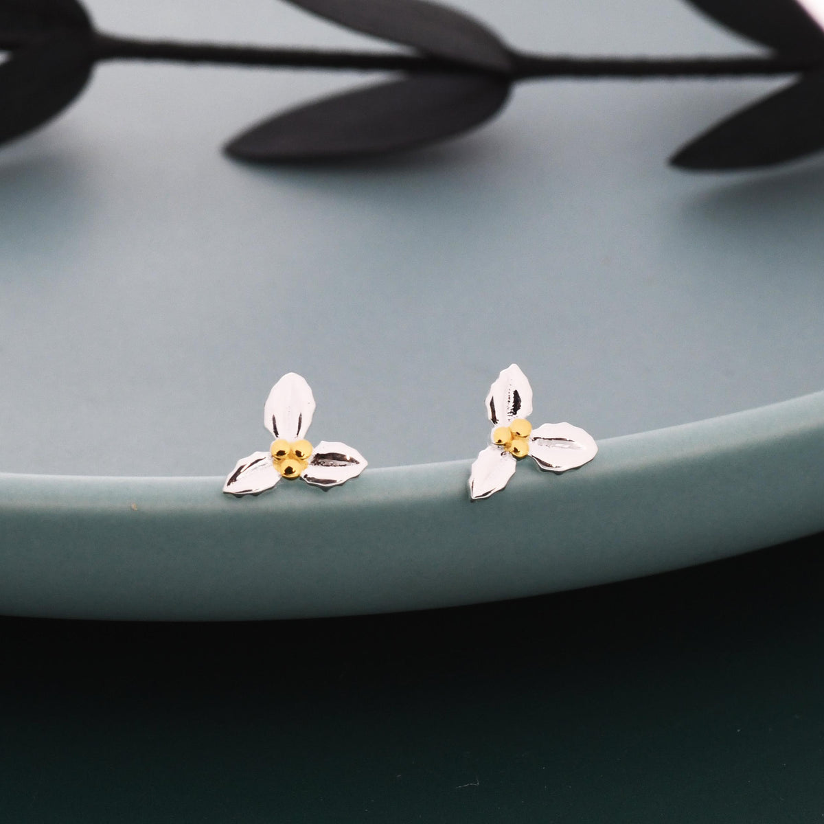 Holly Stud Earrings in Sterling Silver, Botanical Jewellery, Flower Earrings, December Birth Flower, Christmas Earrings