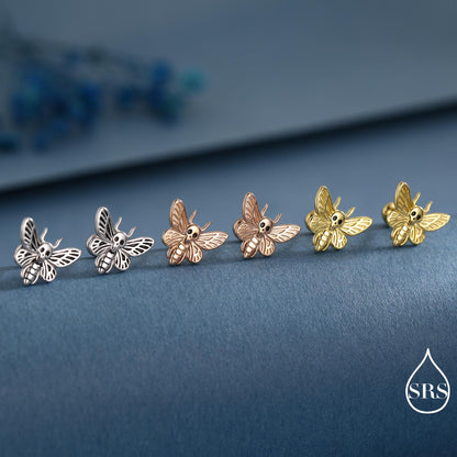 Death's-head Hawkmoth Moth Screw Back /Flat Back / Stud Earrings in Sterling Silver, Silver, Gold or Rose Gold, Nature Inspired