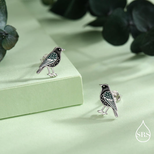 Starling Bird Stud Earrings in Sterling Silver, Silver or Gold, British Bird Earrings, Nature Inspired Animal Earrings