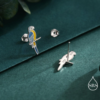 Blue-and-yellow Macaw Parrot Bird Stud Earrings in Sterling Silver, Silver or Gold, British Bird Earrings, Nature Inspired Animal Earrings
