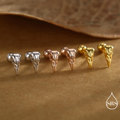 Sterling Silver Bird Skull Screw Bakc / Stud Earrings, Silver, Gold or Rose Gold, Bird Skeleton Earrings in Sterling Silver