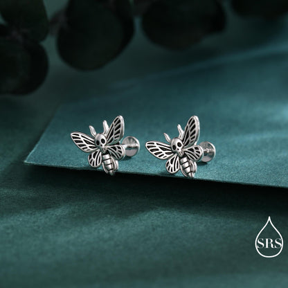 Death's-head Hawkmoth Moth Screw Back /Flat Back / Stud Earrings in Sterling Silver, Silver, Gold or Rose Gold, Nature Inspired