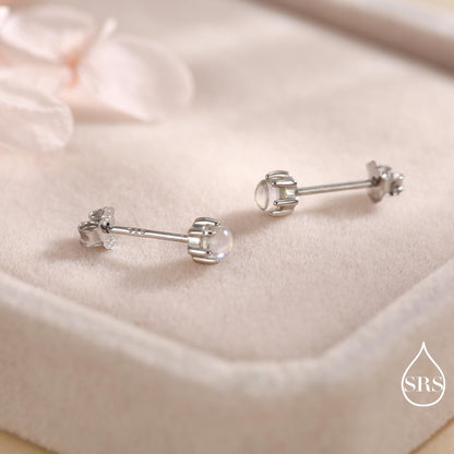 Very Tiny Moonstone Internally Threaded Flat Back/Screw back(Barbell)/ Stud Earrings in Sterling Silver, Lab Moonstone Earrings, Piercing