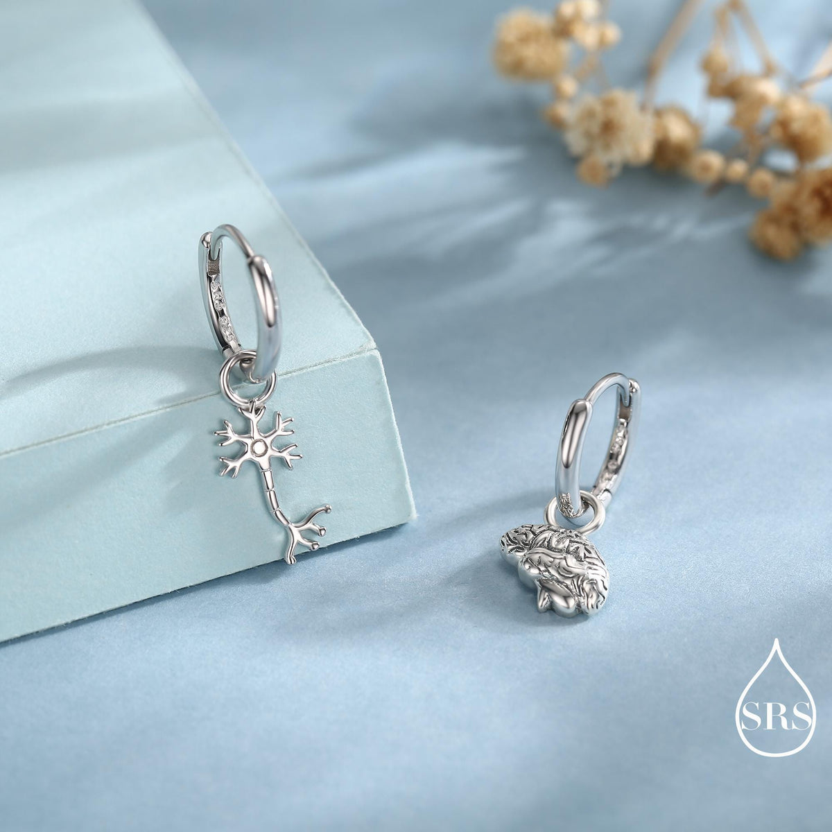 Mismatched Anatomical Brain and Neurone Huggie Hoops Earrings in Sterling Silver, Silver, Gold or Rose Gold, Biology Jewellery, Detachable