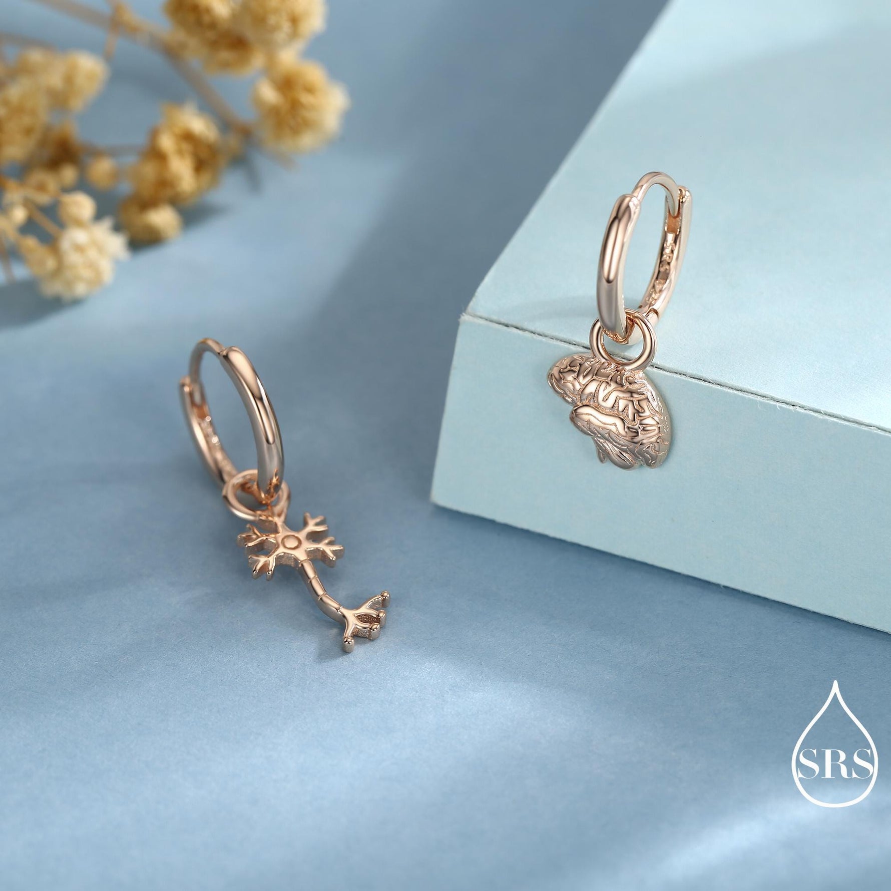 Mismatched Anatomical Brain and Neurone Huggie Hoops Earrings in Sterling Silver, Silver, Gold or Rose Gold, Biology Jewellery, Detachable