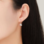 Sterling Silver Ammonite Shell Dangle Earrings – Polished Nautilus-Inspired Design - Silver, Gold or Rose Gold Finish