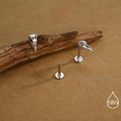 Sterling Silver Bird Skull Screw Back / Stud Earrings, Silver, Gold or Rose Gold, Bird Skeleton Earrings in Sterling Silver