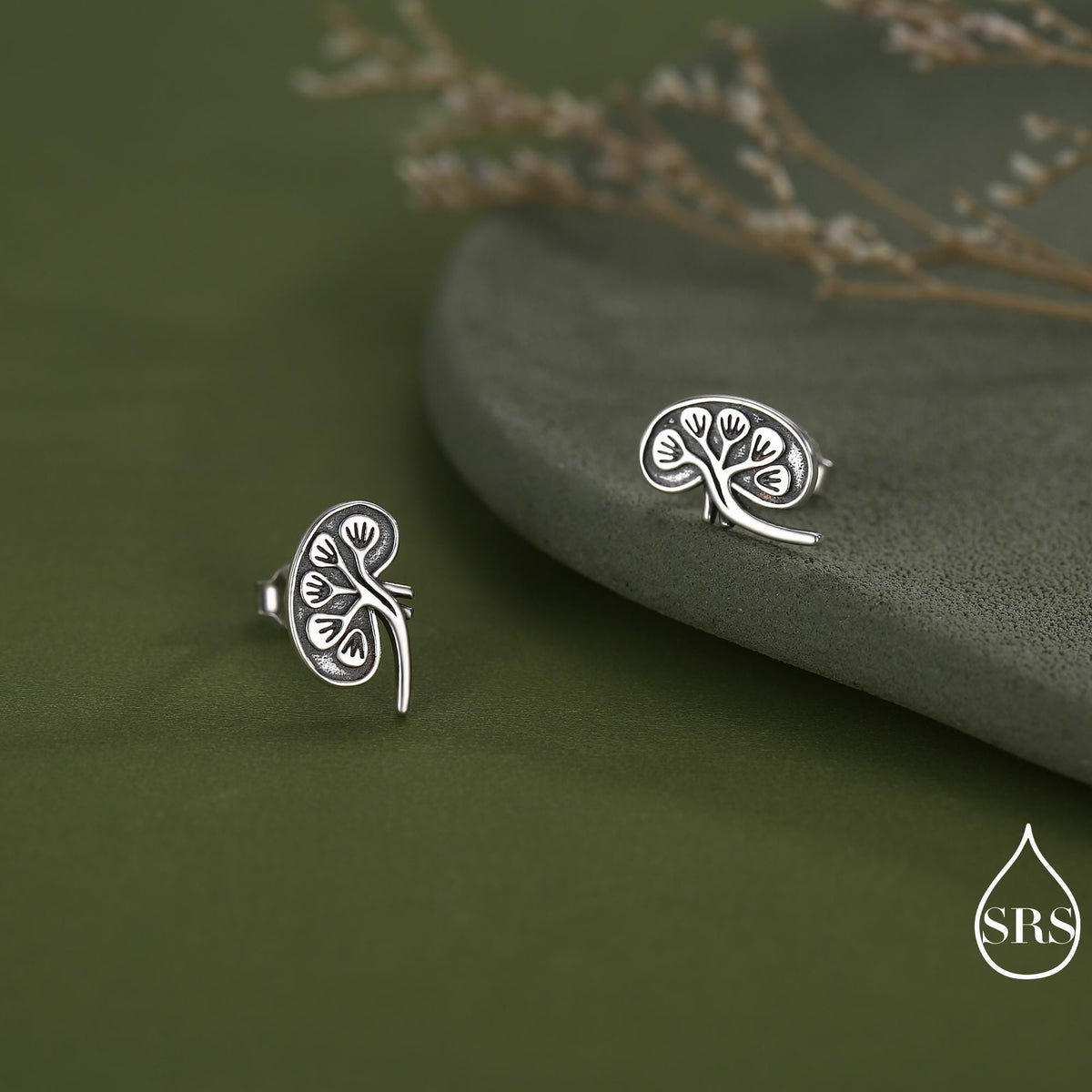 Anatomical Kidney Stud Earrings in Sterling Silver, Silver or Gold or Rose Gold, Science Jewellery, Science Earrings, Biology Jewellery