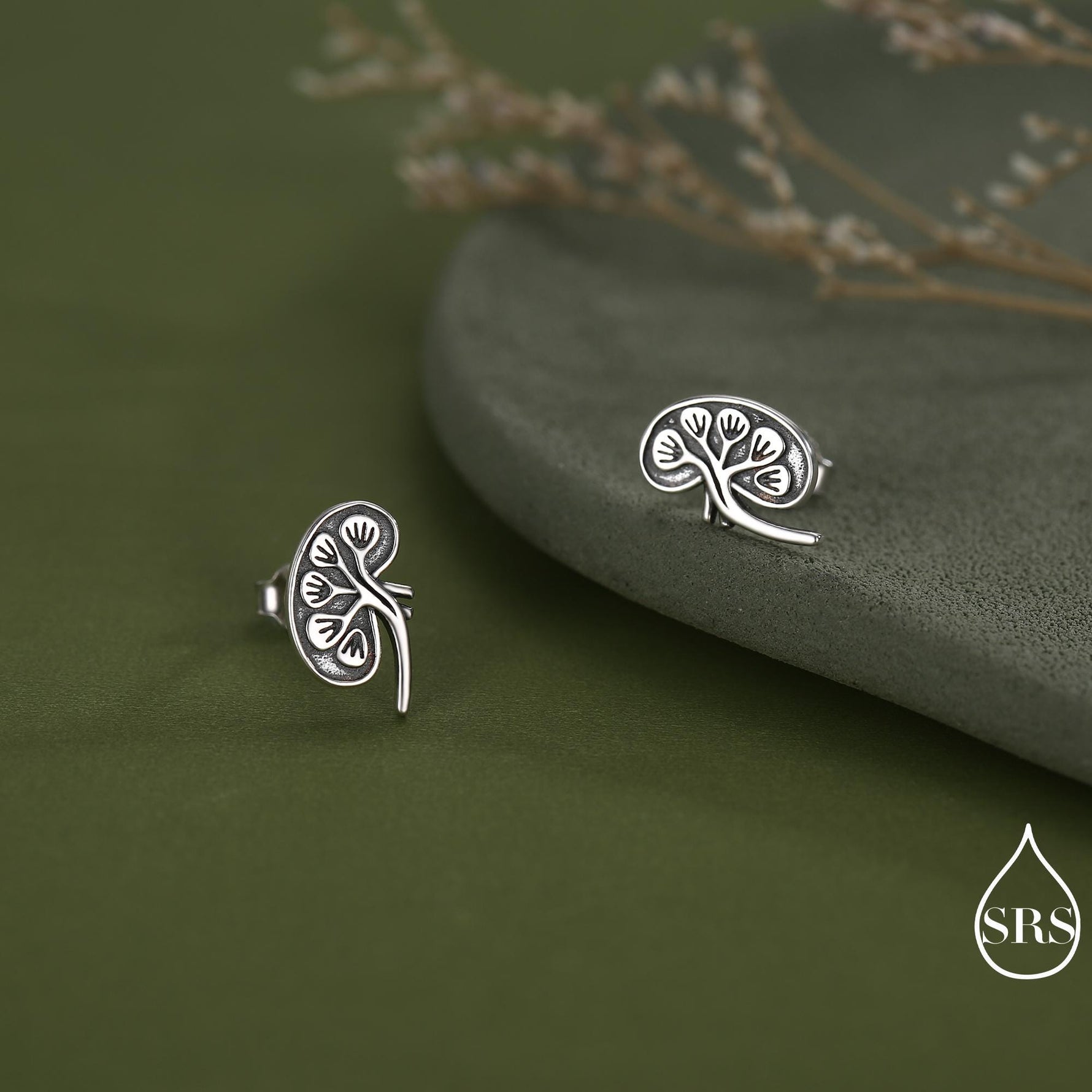 Anatomical Kidney Stud Earrings in Sterling Silver, Silver or Gold or Rose Gold, Science Jewellery, Science Earrings, Biology Jewellery