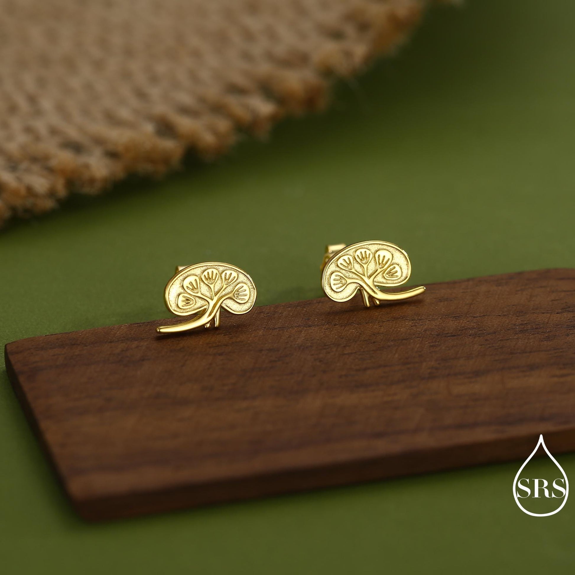 Anatomical Kidney Stud Earrings in Sterling Silver, Silver or Gold or Rose Gold, Science Jewellery, Science Earrings, Biology Jewellery