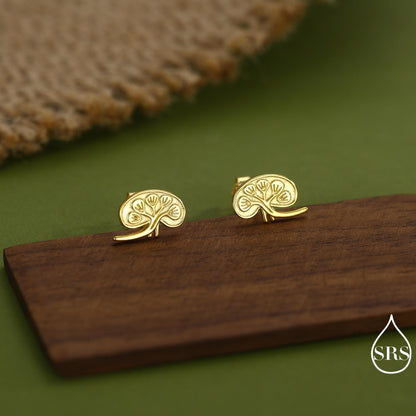 Anatomical Kidney Stud Earrings in Sterling Silver, Silver or Gold or Rose Gold, Science Jewellery, Science Earrings, Biology Jewellery