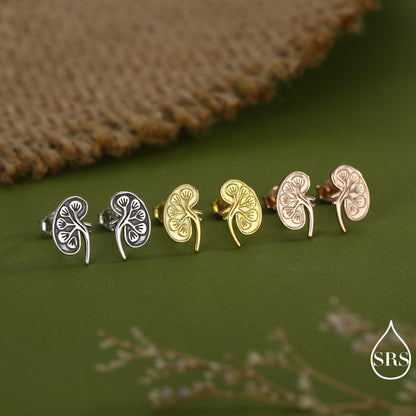 Anatomical Kidney Stud Earrings in Sterling Silver, Silver or Gold or Rose Gold, Science Jewellery, Science Earrings, Biology Jewellery