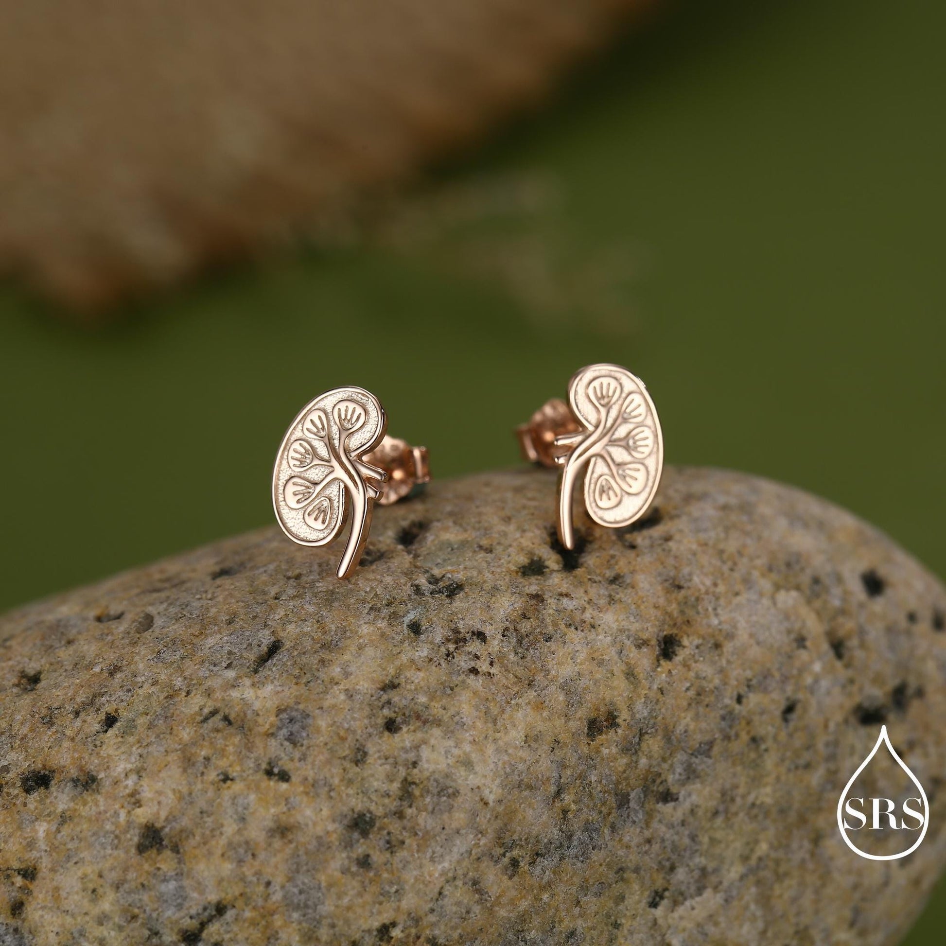 Anatomical Kidney Stud Earrings in Sterling Silver, Silver or Gold or Rose Gold, Science Jewellery, Science Earrings, Biology Jewellery