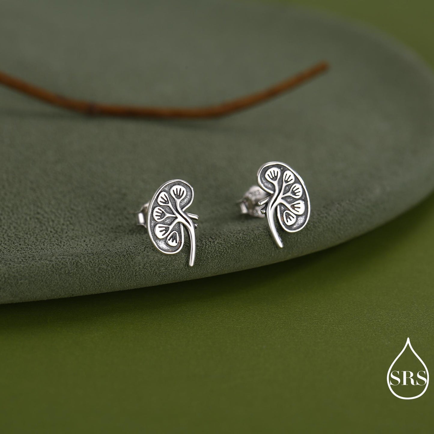 Anatomical Kidney Stud Earrings in Sterling Silver, Silver or Gold or Rose Gold, Science Jewellery, Science Earrings, Biology Jewellery