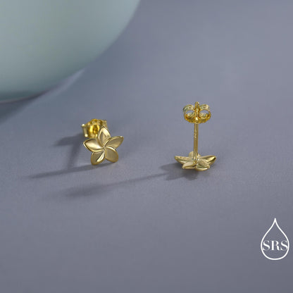 Tiny Plumeria Flower Stud Earrings in Sterling Silver, Small Flower Earrings, Nature Inspired Floral Earrings