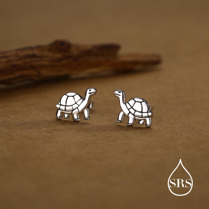 Sterling Silver Tortoise Stud Earrings, Also in Gold and Rose Gold Finish, Turtle Earrings, Quirky, and Full of Character