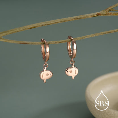 Ocean Sunfish Fish Huggie Hoop Earrings in Sterling Silver, Sun Fish Earrings, Mola Mola Earrings, Nature Inspired Animal Earrings