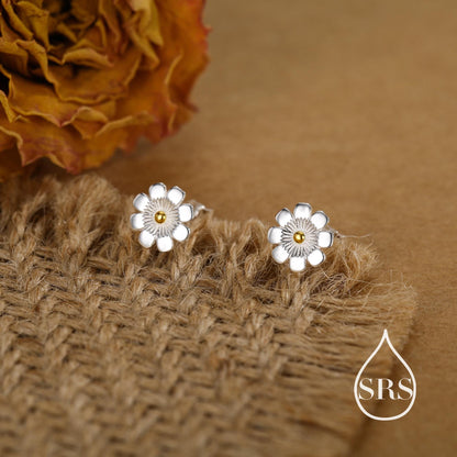 Cosmos Flower Stud Earrings in Sterling Silver, Silver or Gold, Nature Inspired Flower Earrings, October Birth Flower, Botanical