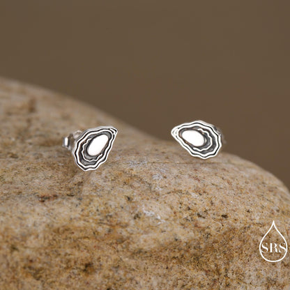 Sterling Silver Oyster Stud Earrings, coastal jewellery, ocean-inspired style, Perfect for beach lovers and ocean dreamers